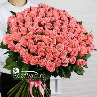 Букет из 51 красно-белой розы (50 см)