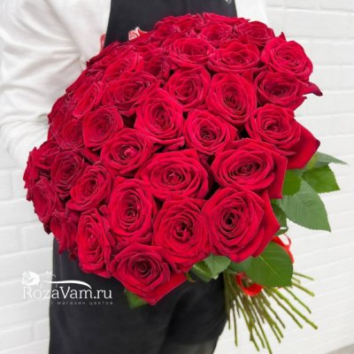 Букет из 51 красно-белой розы (50 см)