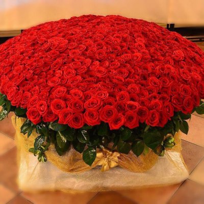 Букет из 101 красной розы (50 см)