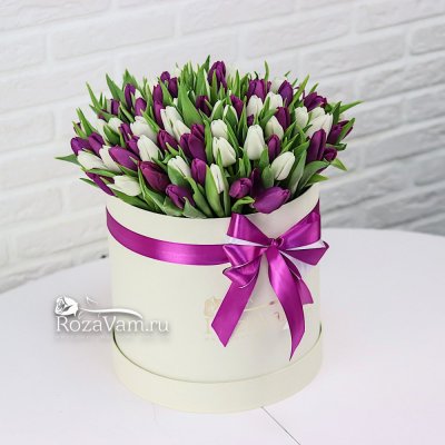 коробка из 101 бело-фиолетового тюльпана