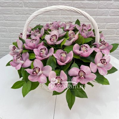 Корзина из 25 розовых орхидей