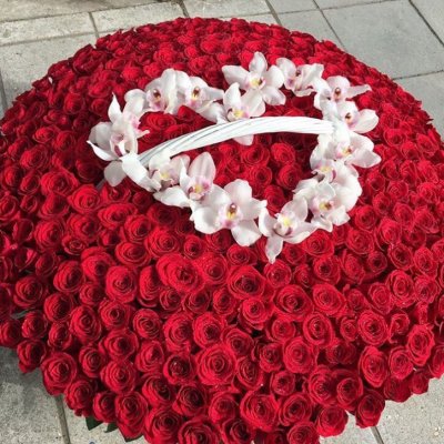 Корзина из 501 красной розы с орхидеей