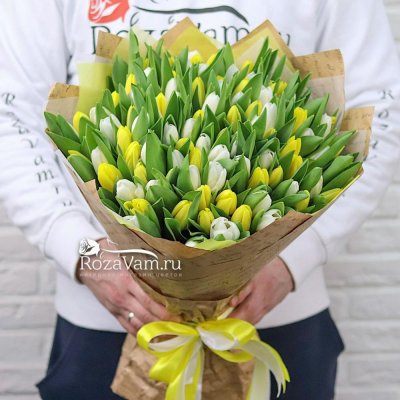 Букет из 101 бело-желтого тюльпана