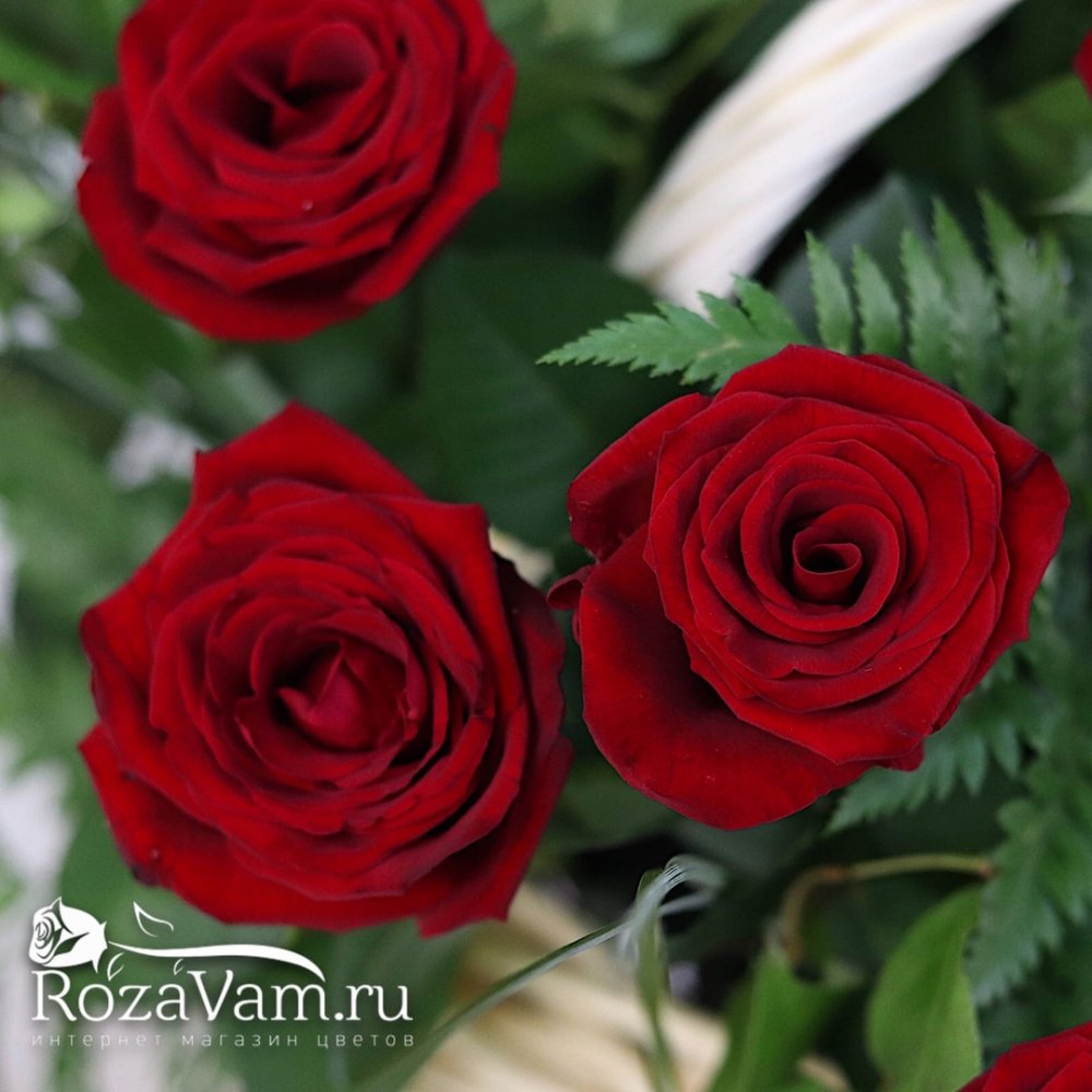 Корзина из 29 красных роз
