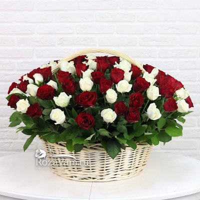 Корзина из 301 красно-белой розы