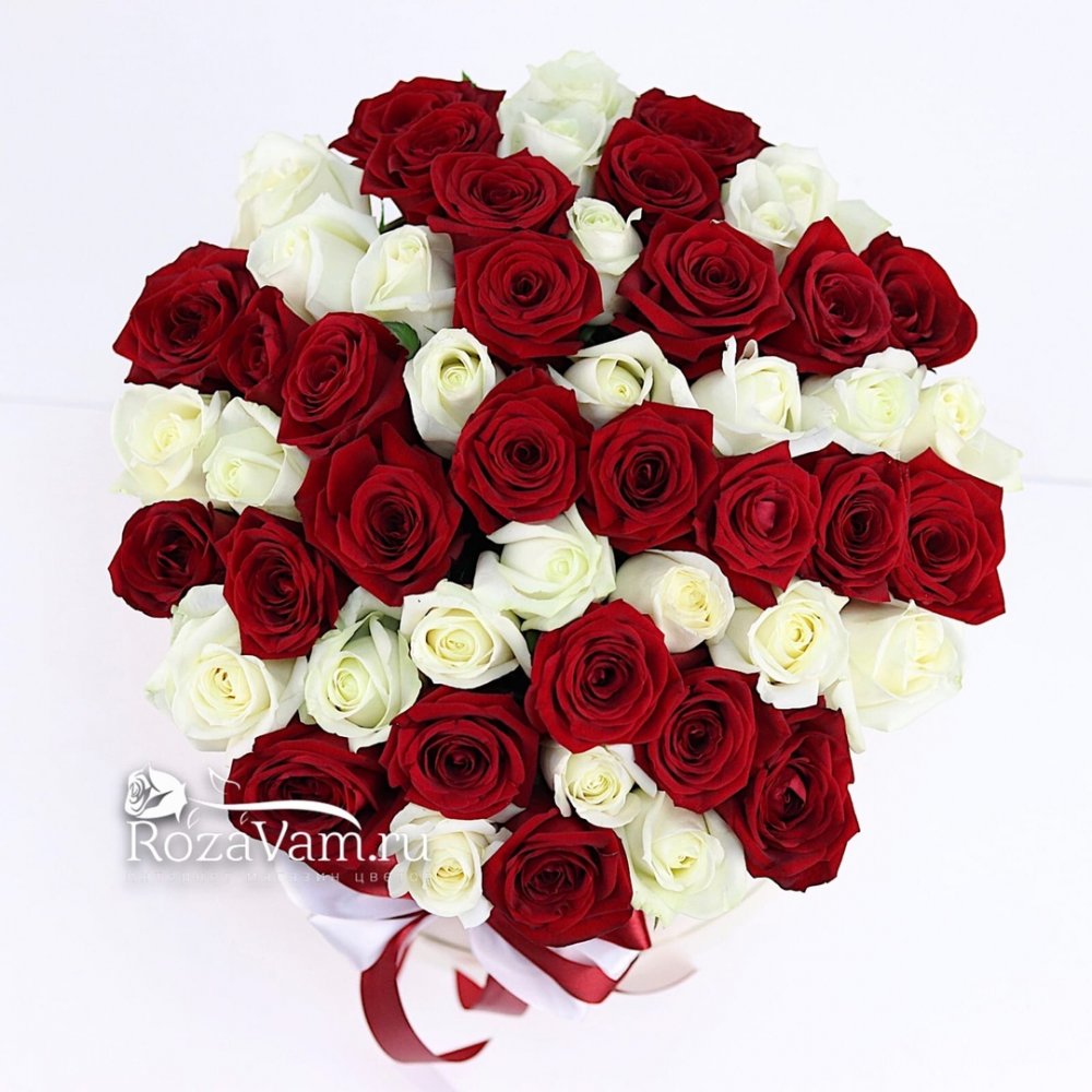 Коробка из 51 красно-белой розы