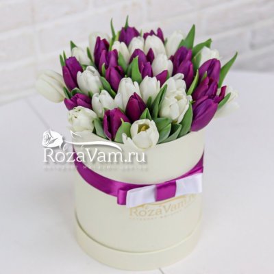 Коробочка из 35 бело-фиолетовых тюльпанов