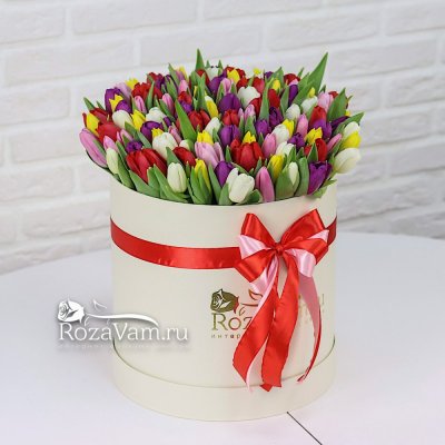 коробка из 101 бело-красного тюльпана