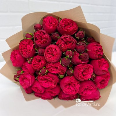 букет из 25 пионовидных бордовых роз