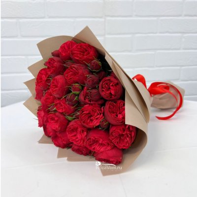 букет из 25 пионовидных бордовых роз