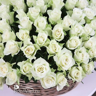 корзина из 501 белой розы