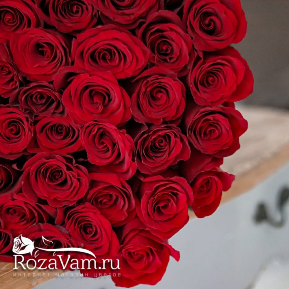 Букет из 101 красной розы Эквадор (70см)