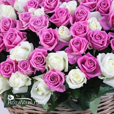 Корзина из 301 бело-розовой розы
