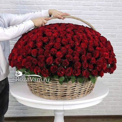 Купить 501 розу заказ цветов в москве лучшие