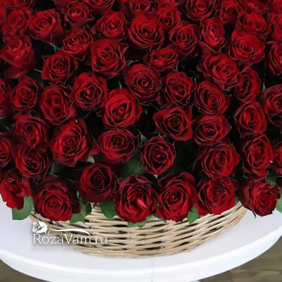 Корзина из 501 красной розы