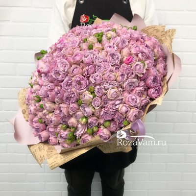 Букет из 25 кустовых роз Би баблз 40 см