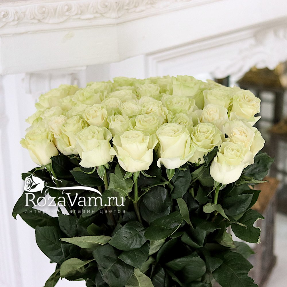 Букет из 49 белых  роз эквадор 60 см