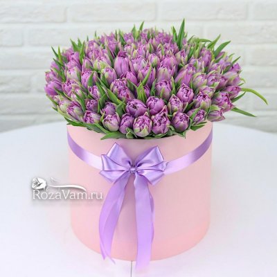 коробка из 101 розового тюльпана