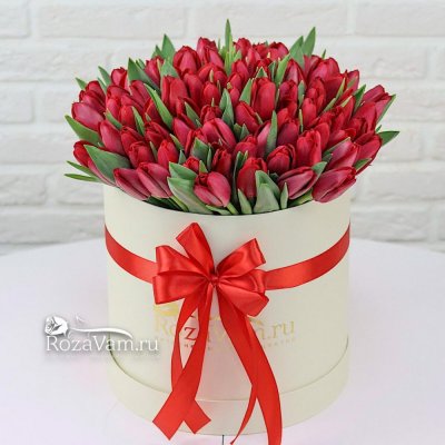коробка из 101 красного тюльпана