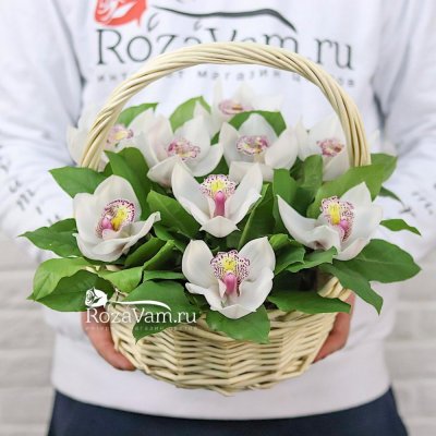 Корзина из 25 розовых орхидей