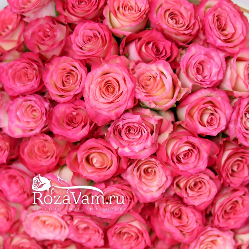 Букет из 101 розовой розы 50см