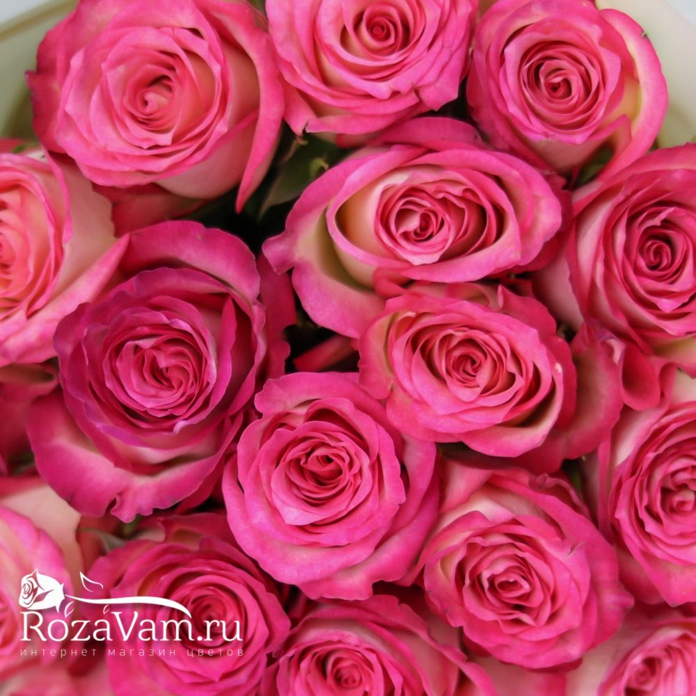 Букет 19 розовых роз 50см