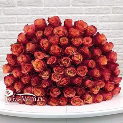 Букет из 101 розы Эквадор Богард