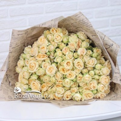 Букет из 25 кустовых роз Салинеро 50 см