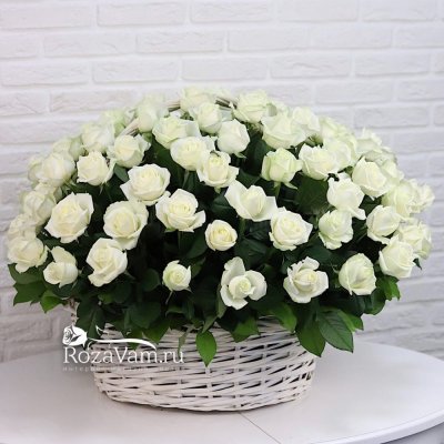 корзина из 501 белой розы