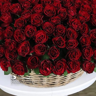 Корзина из 301 красной розы