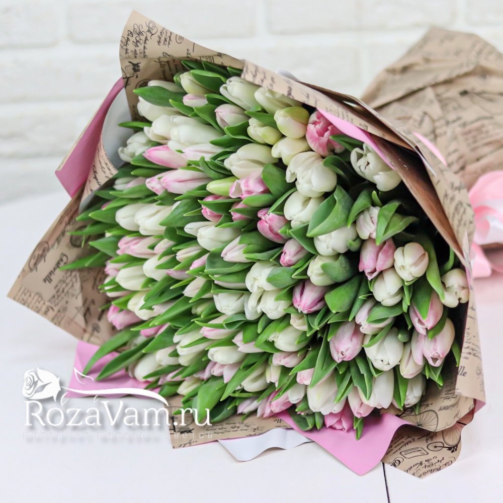 Букет из 101 бело-розового  тюльпана