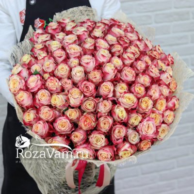 Букет из 101 розовой розы Эквадор