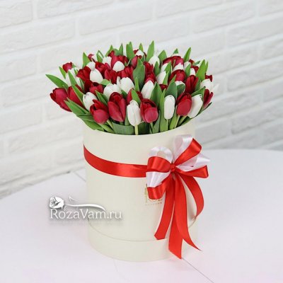 Коробка из 75 бело-красных тюльпанов