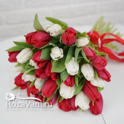 Букет из 39 бело-красных тюльпанов