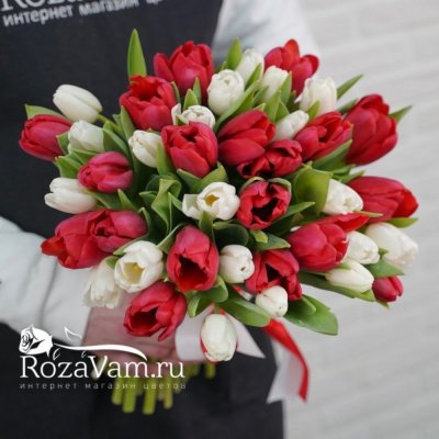 Букет из 39 бело-красных тюльпанов