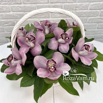 Корзина из 9 розовых  орхидей