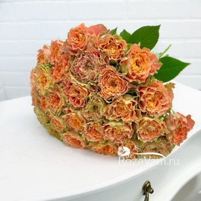 Букет из 29 пионовидных роз Луиза 60см