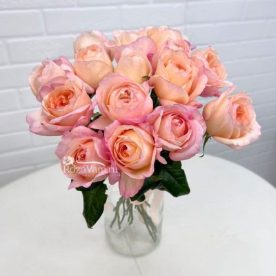Букет из 15 ароматных пионовидных роз