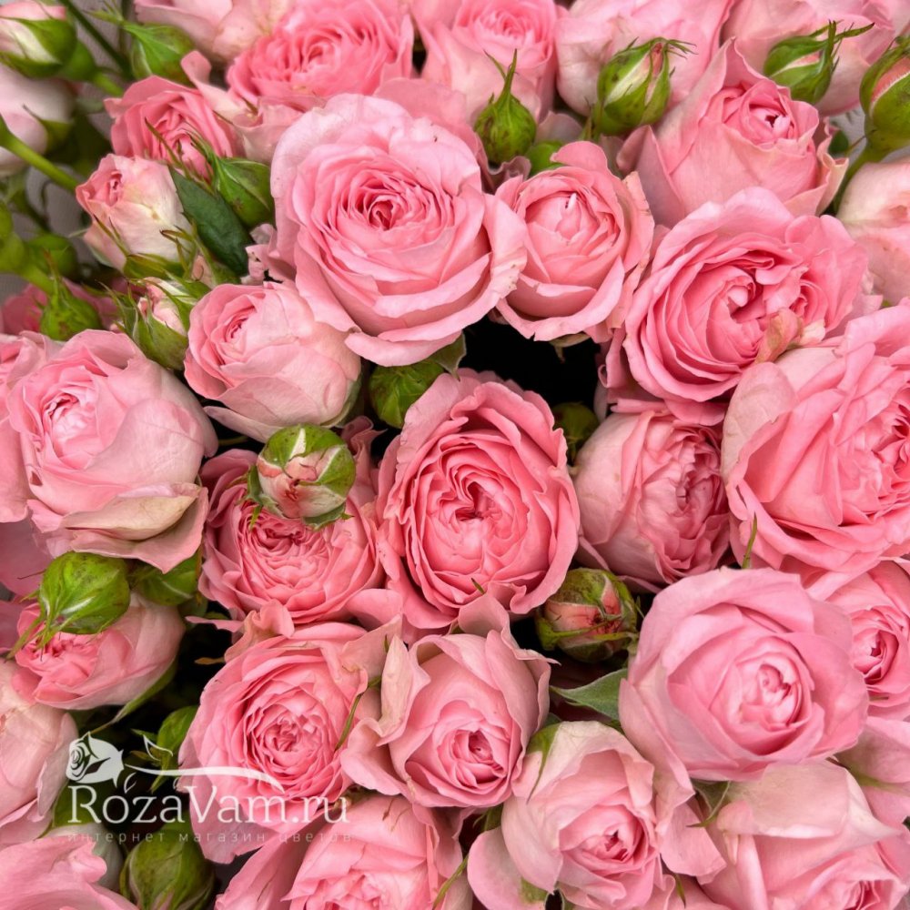 Букет из 15 кустовых роз Фемке 50 см