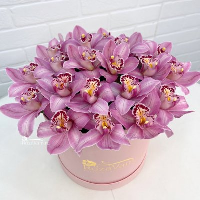 Розовые орхидеи в коробке 21шт