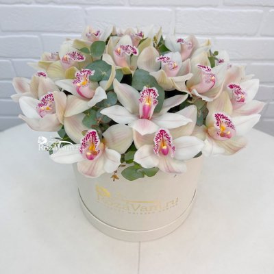 Белые орхидеи в коробке 21шт