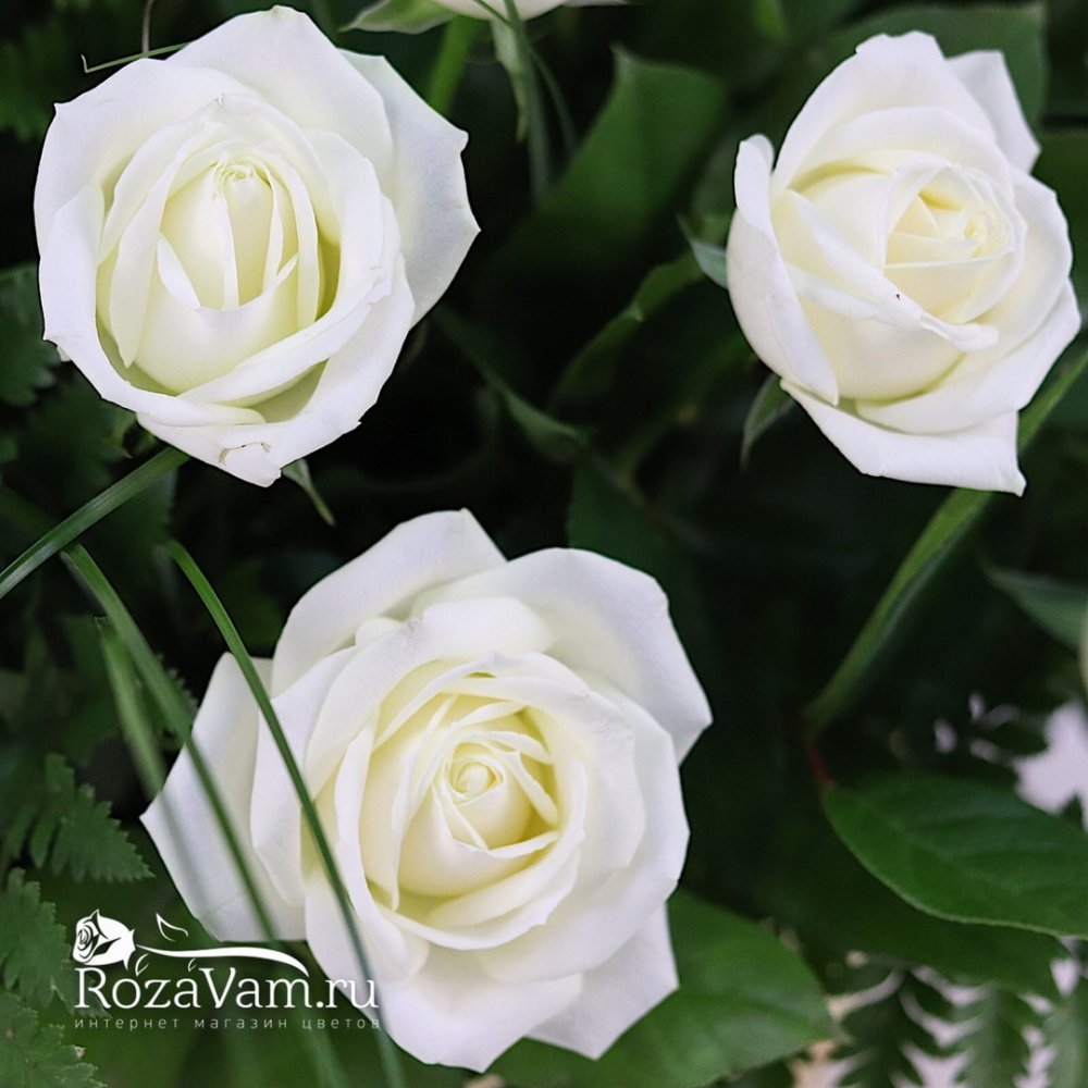 Корзина из 29 белых роз