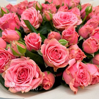 Букет из 25 пионовидных кустовых  роз