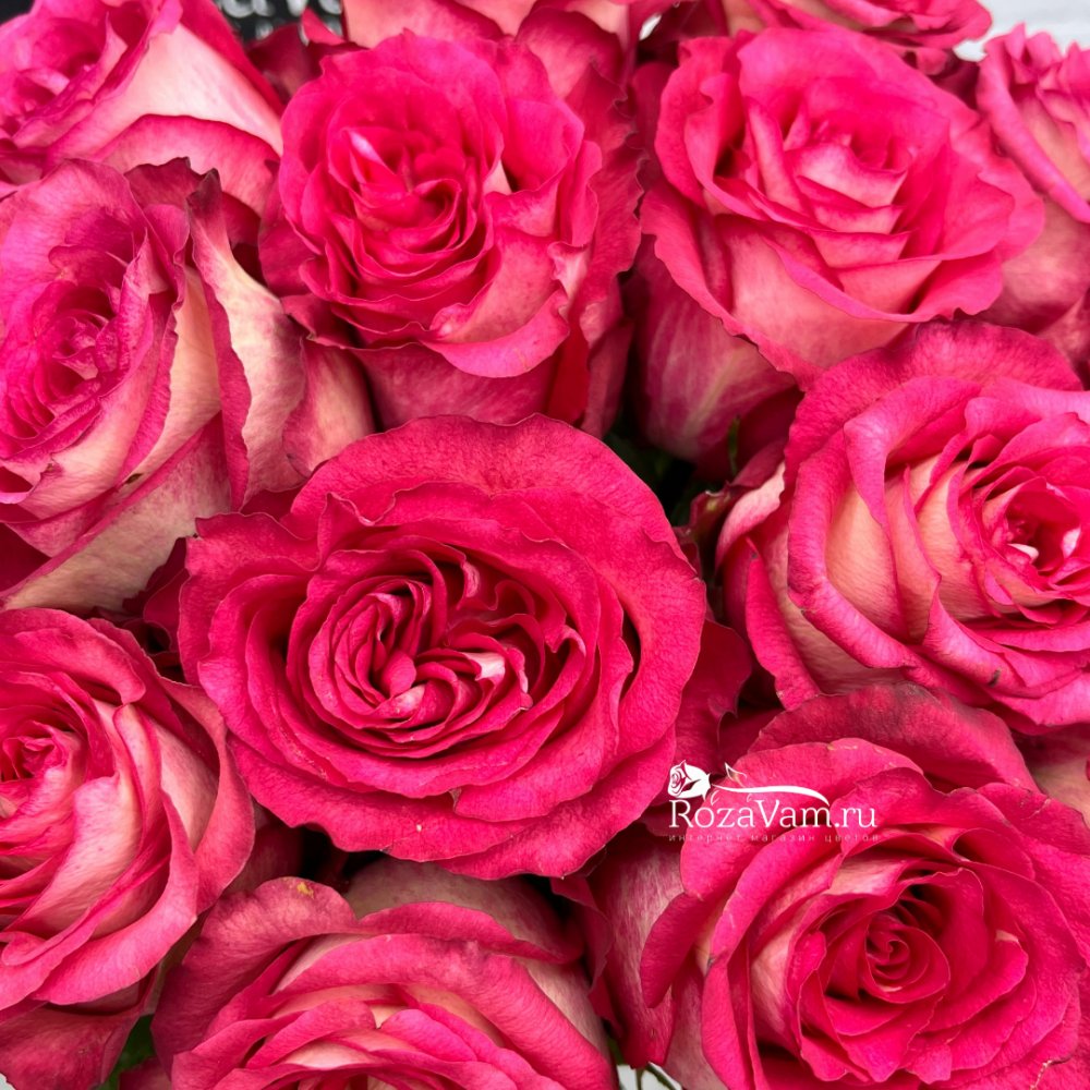 Букет из 15 роз Эквадор Игуасу 70см