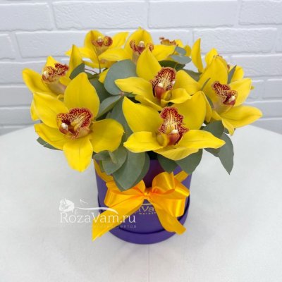 Шляпная коробка из 9 желтых орхидей