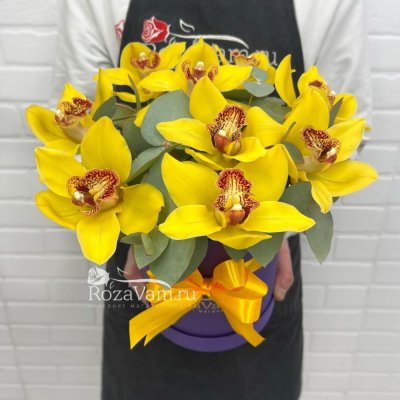 Шляпная коробка из 9 желтых орхидей