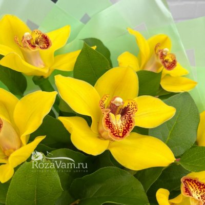 Букет желтых орхидей 7шт