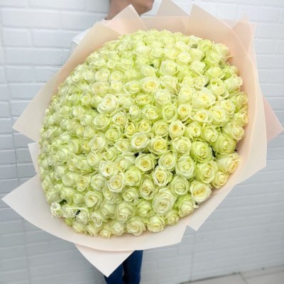 Букет из 201 белой розы 70 см