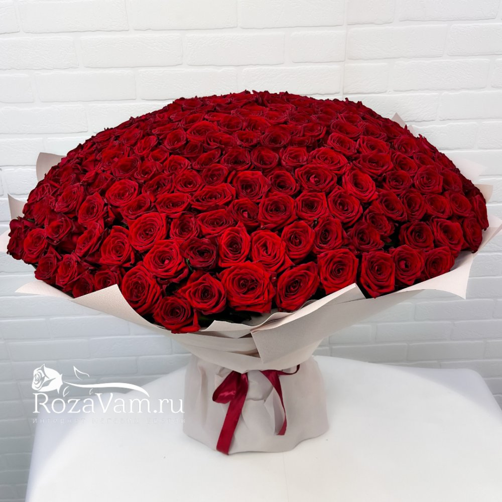 Букет из 301 красной розы (70 см)
