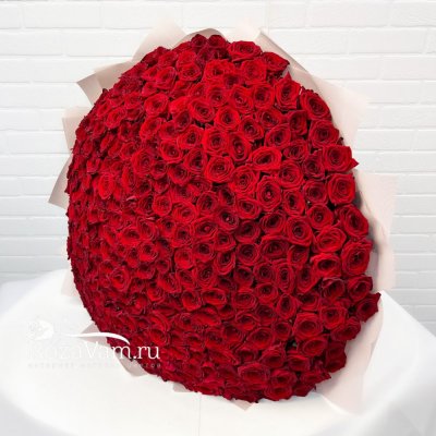 Букет из 301 красной розы (70 см)